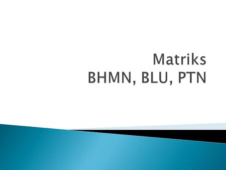Matriks BHMN, BLU, PTN.