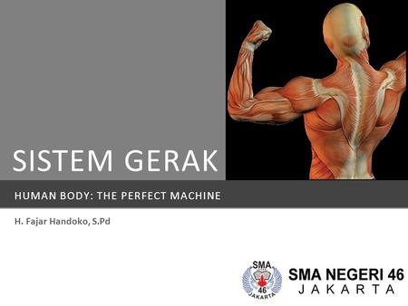 Human body: the perfect machine