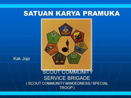 ( SCOUT COMMUNITY MINDEDNESS / SPECIAL TROOP )