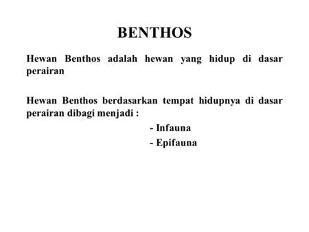 BENTHOS Hewan Benthos adalah hewan yang hidup di dasar perairan