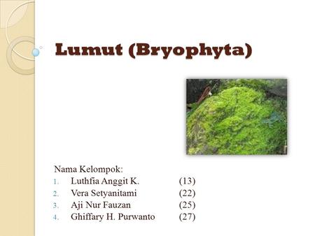 Lumut (Bryophyta) Nama Kelompok: Luthfia Anggit K. (13)