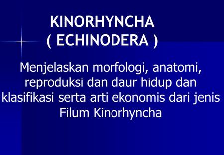 KINORHYNCHA ( ECHINODERA )