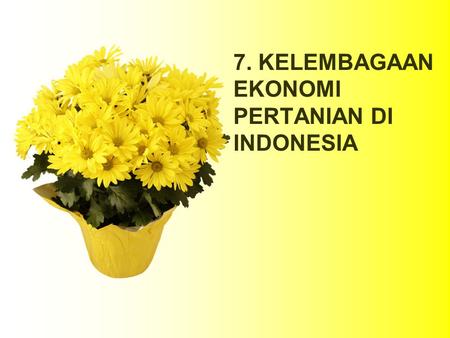 7. KELEMBAGAAN EKONOMI PERTANIAN DI INDONESIA