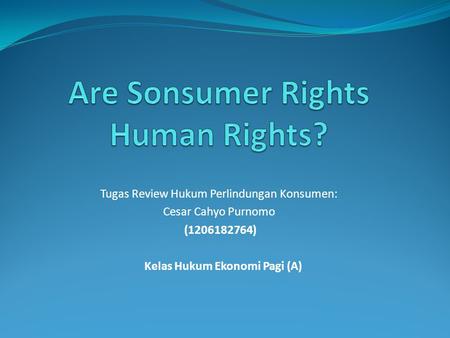 Are Sonsumer Rights Human Rights?