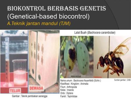 BIOKONTROL BERBASIS GENETIS (Genetical-based biocontrol) A