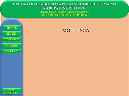 MOLLUSCA MUSYAWARAH GURU MATA PELAJARAN BIOLOGI SMA/MA