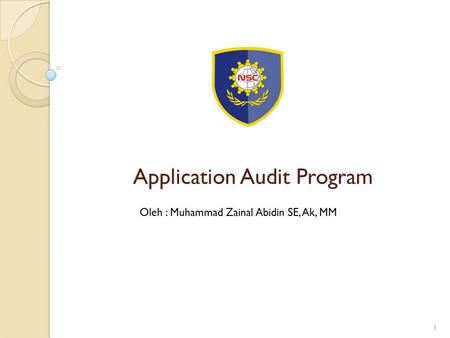 Application Audit Program