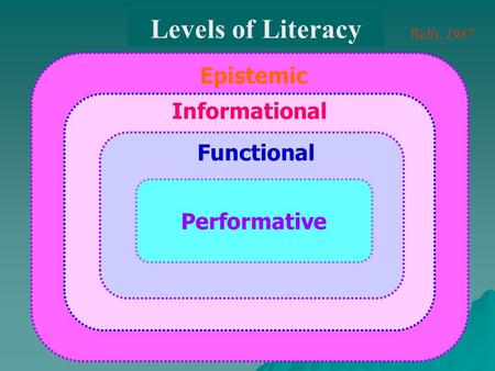 Levels of Literacy Epistemic Informational Functional Performative