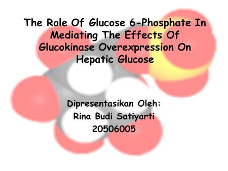 The Role Of Glucose 6-Phosphate In Mediating The Effects Of Glucokinase Overexpression On Hepatic Glucose Dipresentasikan Oleh: Rina Budi Satiyarti 20506005.