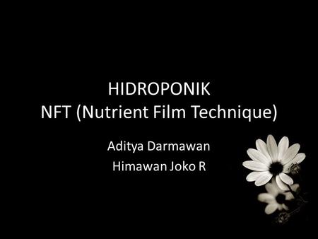 HIDROPONIK NFT (Nutrient Film Technique)