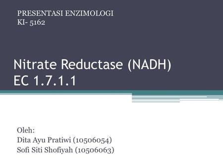 Nitrate Reductase (NADH) EC