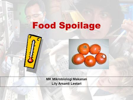MK Mikrobiologi Makanan Lily Arsanti Lestari