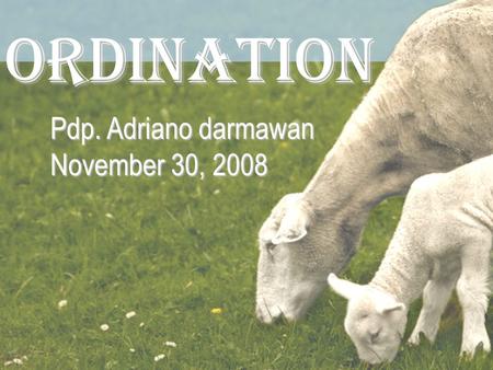 ORDINATION Pdp. Adriano darmawan November 30, 2008.
