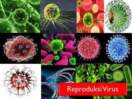 Reproduksi Virus.