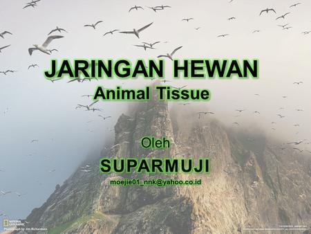 JARINGAN HEWAN Animal Tissue