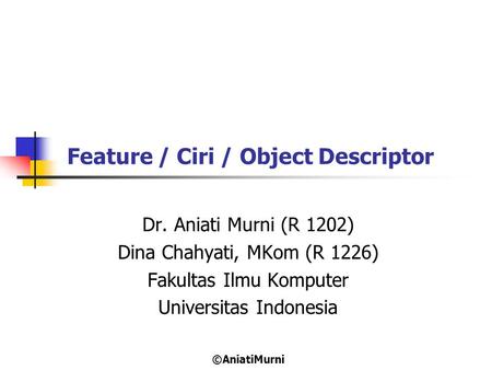 Feature / Ciri / Object Descriptor