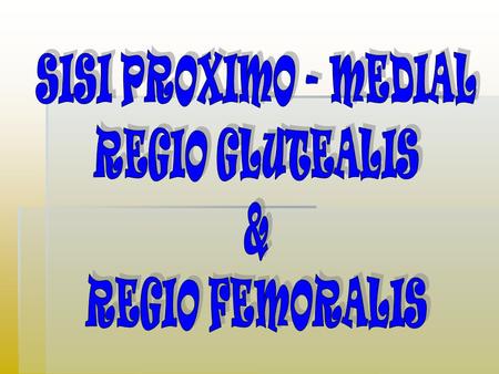 SISI PROXIMO - MEDIAL REGIO GLUTEALIS & REGIO FEMORALIS.