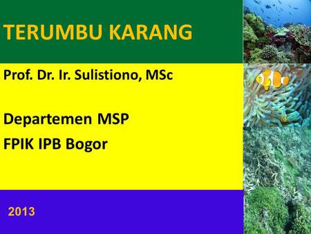 Prof. Dr. Ir. Sulistiono, MSc Departemen MSP FPIK IPB Bogor