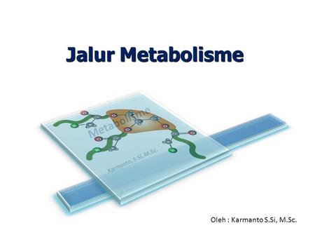 Jalur Metabolisme Metabolisme Oleh : Karmanto S.Si, M.Sc.