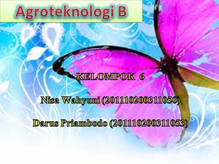 Agroteknologi B KELOMPOK 6 Nisa Wahyuni ( )