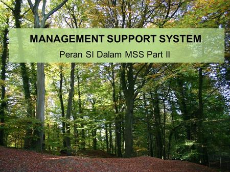 MANAGEMENT SUPPORT SYSTEM Peran SI Dalam MSS Part II.