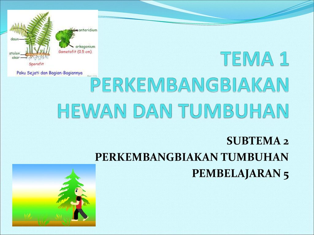 Tema 1 Perkembangbiakan Hewan Dan Tumbuhan Ppt Download