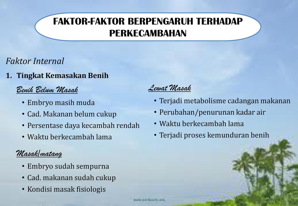 Faktor Faktor Berpengaruh Terhadap Perkecambahan Ppt Download