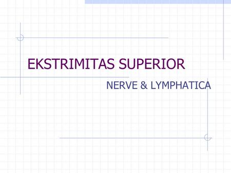 EKSTRIMITAS SUPERIOR NERVE & LYMPHATICA.