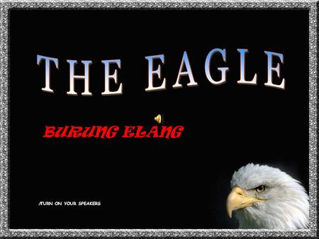 THE EAGLE BURUNG ELANG TURN ON YOUR SPEAKERS.