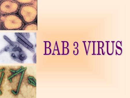 BAB 3 VIRUS.