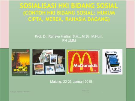 Prof. Dr. Rahayu Hartini, S.H.., M.Si., M.Hum.
