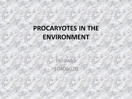 PROCARYOTES IN THE ENVIRONMENT