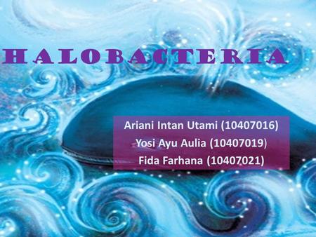 Halobacteria Ariani Intan Utami ( ) Yosi Ayu Aulia ( )