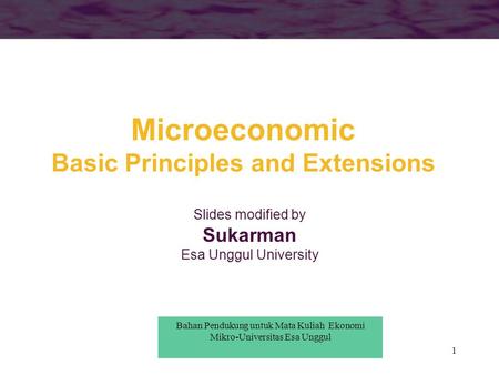 Microeconomic Basic Principles and Extensions
