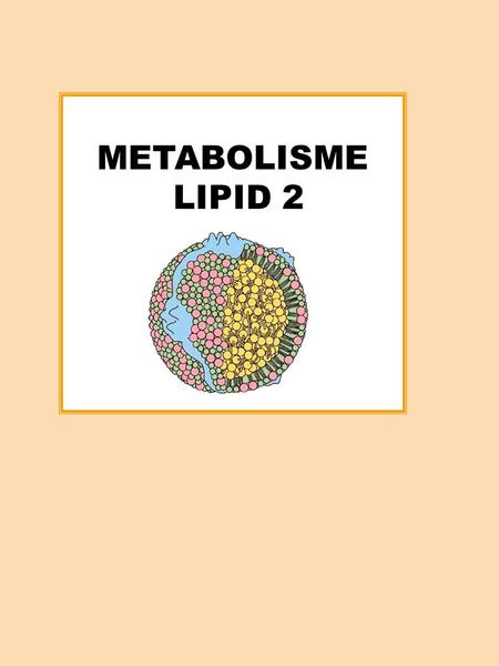 METABOLISME LIPID 2.