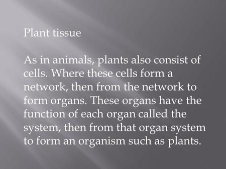 Plant tissue As in animals, plants also consist of cells. Where these cells form a network, then from the network to form organs. These organs have the.