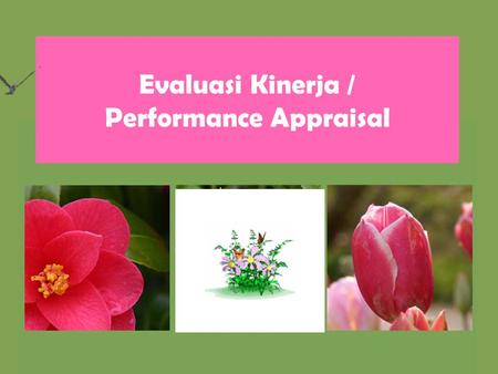 Evaluasi Kinerja / Performance Appraisal