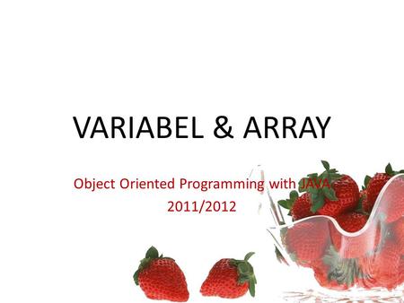 Object Oriented Programming with JAVA 2011/2012