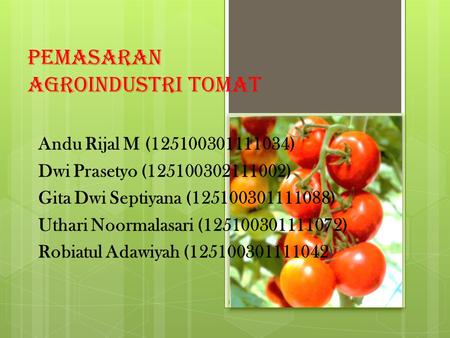 Pemasaran Agroindustri Tomat