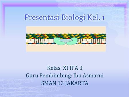 Presentasi Biologi Kel. 1