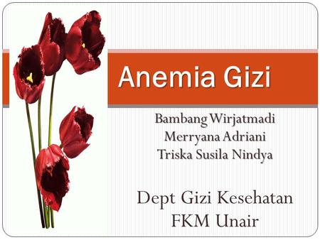 Anemia Gizi Dept Gizi Kesehatan FKM Unair Bambang Wirjatmadi