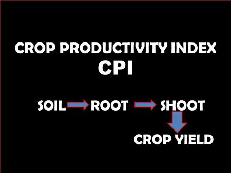 CROP PRODUCTIVITY INDEX CPI SOIL ROOT SHOOT CROP YIELD.