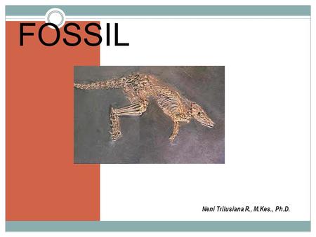 FOSSIL Neni Trilusiana R., M.Kes., Ph.D..