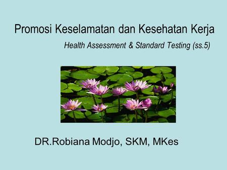 DR.Robiana Modjo, SKM, MKes