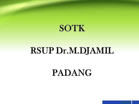 SOTK RSUP Dr.M.DJAMIL PADANG