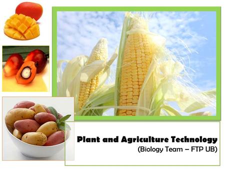Plant and Agriculture Technology (Biology Team – FTP UB)