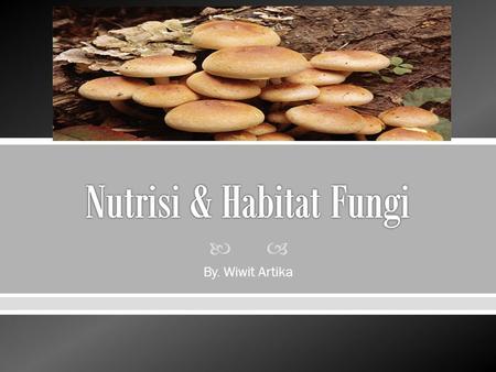 Nutrisi & Habitat Fungi