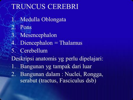 TRUNCUS CEREBRI Medulla Oblongata Pons Mesencephalon