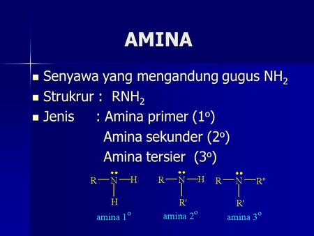 AMINA Senyawa yang mengandung gugus NH2 Strukrur : RNH2