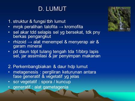 D. LUMUT 1. struktur & fungsi tbh lumut